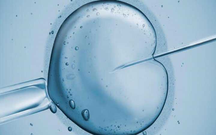 福州请问代孕成功率高吗|试管促排的微刺激性方案是什么？一共有几种？